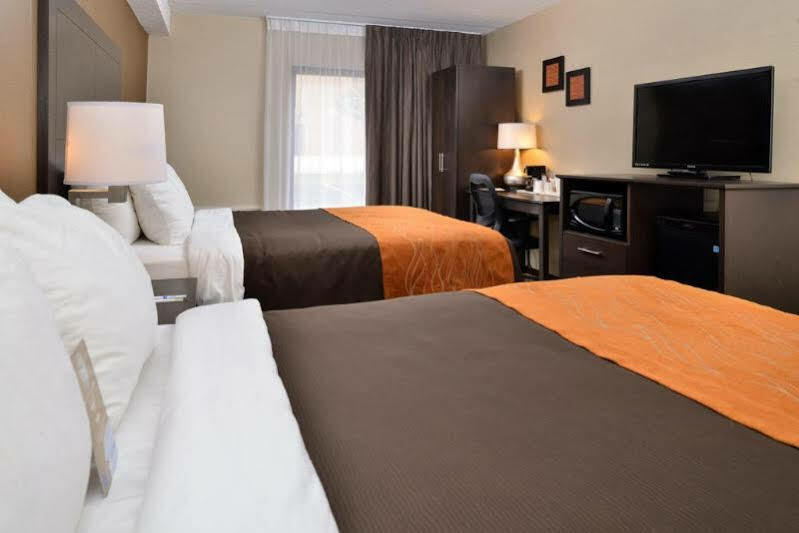 Comfort Inn Brampton Eksteriør billede