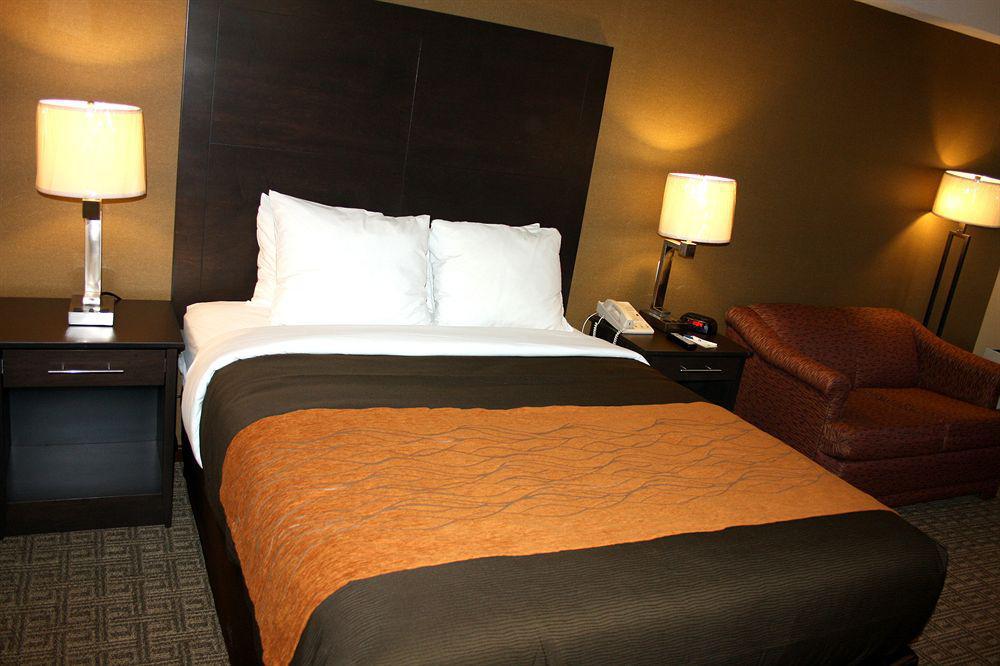 Comfort Inn Brampton Eksteriør billede